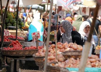 أسعار الخضار والفاكهة في الأسواق اليوم الثلاثاء