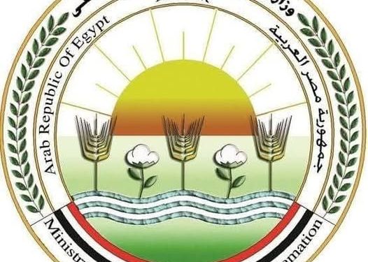 “الزراعة”: تحصين 12,665 كلب حر وتعقيم 1,593 منذ يناير ضمن الحملة القومية لمكافحة مرض السعار