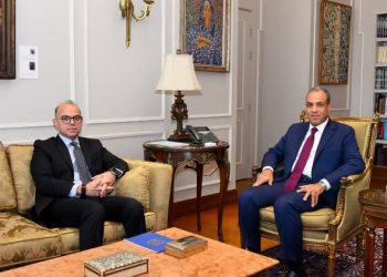 وزيرا الخارجية والاستثمار يبحثان تعزيز التنسيق المشترك لجذب الاستثمارات الخارجية وتحقيق التنمية الاقتصادية