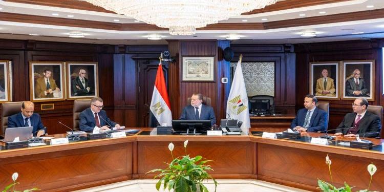 “محافظ البنك المركزي ووزير التخطيط يبحثان دعم استقرار الاقتصاد المصري”