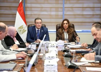 وزيرة التنمية المحلية تبحث مع رئيس الجهاز المركزي للتنظيم والإدارة تعديلات الهياكل التنظيمية بالوزارة