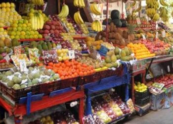 أسعار الخضار والفاكهة في الأسواق اليوم الإثنين