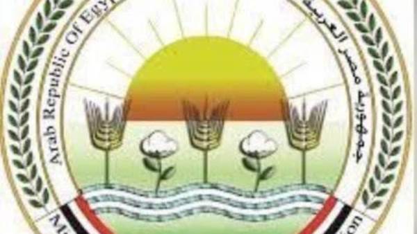 “الزراعة” تستعد للإشراف البيطري على جولة بطولة “لونجين” العالمية للفروسية التي تستضيفها مصر في أكتوبر المقبل