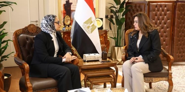 وزيرة التنمية المحلية والبيئة تتابع جهود محافظة الوادي الجديد