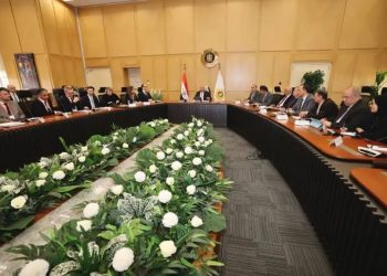 وزير النقل يبحث مع الرئيس التنفيذي لشركة بلاسر النمساوية