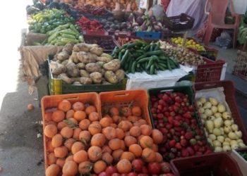سعر الخضار والفاكهة اليوم الخميس في مصر