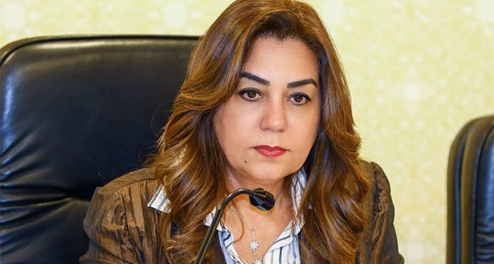 وزيرة التنمية المحلية تتلقى تقريراً حول جهود قطاع التفتيش والمتابعة خلال فبراير 2026