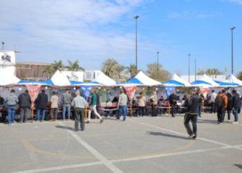 غلق باب التصويت بانتخابات المهندسين وبدء أعمال الفرز بمشاركة 3588 عضوا بالقاهرة