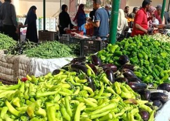 أسعار الخضار والفاكهة في مصر اليوم الجمعة