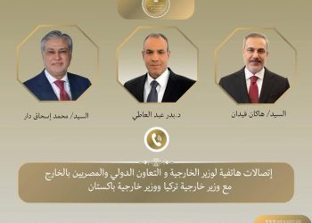 وزير الخارجية يبحث مع نظيريه الباكستاني والتركي التطورات الإقليمية وجهود خفض التصعيد