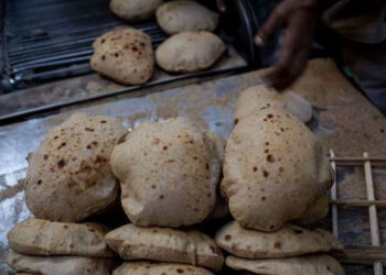 وزارة التموين تشن حملات مكثفة للرقابة على أسعار العيش السياحي.. اعرف الفينو بكام؟