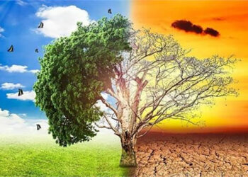 الزراعة: تقلبات المناخ تأتي في فترة حرجة لمعظم التراكيب المحصولية