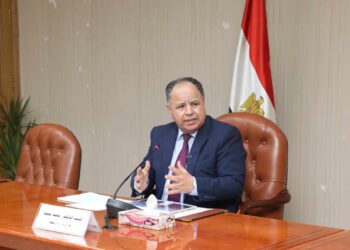 معيط: جاهزون لنقل التجربة المصرية في طرح السندات الخضراء للجنة الاقتصادية لأفريقيا