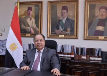 وزير المالية: الدولة أتاحت مساحات جديدة للقطاع الخاص بتحجيم الاستثمارات العامة