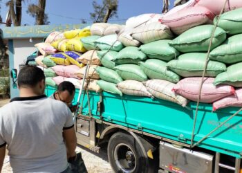 البنك الزراعي المصري يبدأ استلام محصول القمح من المزارعين والموردين في 190 موقعاً على مستوى الجمهورية
