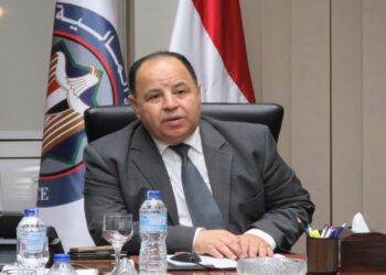 المالية: التعاون مع “هندوجا” الهندية لتوطين صناعة السيارات الكهربائية