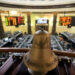 ارتفاع جماعى لمؤشرات البورصة بدعم مشتريات المصريين والعرب