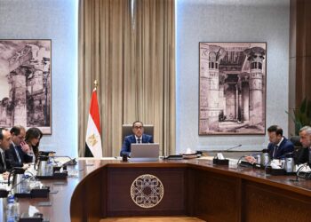 مدبولي يعقد اجتماعًا افتراضيًا مع أكثر من 200 مستثمر عالمى يمثلون 110 شركات استثمارية