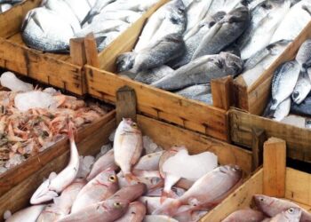 أعراض خطيرة تكشف تناول السمك المسموم