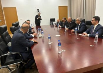 وزير الخارجية يؤكد دعم مصر لمسار الحل الليبى – الليبى