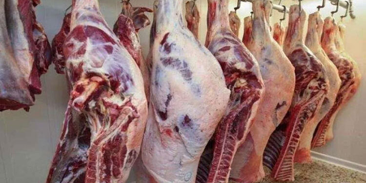 أسعار اللحوم الحمراء في مصر اليوم الخميس