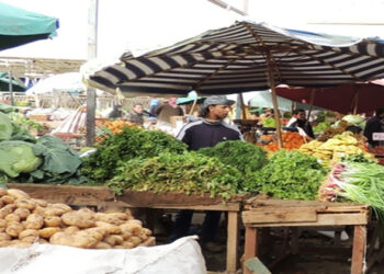 أسعار الخضار والفاكهة اليوم السبت