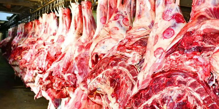 الزراعة تعلن ضخ كميات إضافية من اللحوم بمنافذ الوزارة