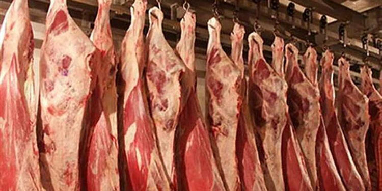 أسعار اللحوم الحمراء في مصر اليوم الإثنين