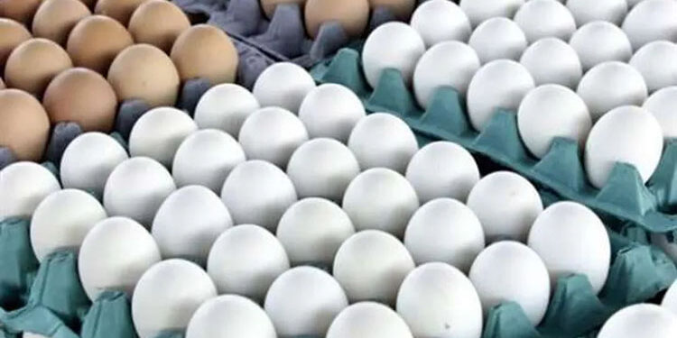 أسعار البيض اليوم الأحد 7-7-2024 في المزارع والمحلات