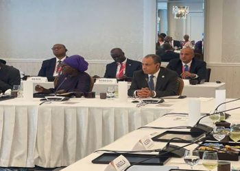 وزير الخارجية والهجرة وشئون المصريين بالخارج يشارك في أولى فعاليات التيكاد