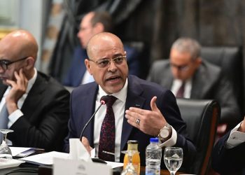 وزير العمل يستقبل نائبين من لجنتي “القوى العاملة” و”الشؤون العربية والأفريقية” بمجلس النواب