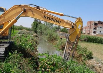 الزراعة” تواصل حملات تطهير المساقي الخصوصية على مستوى الجمهورية