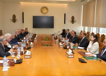 وزير الخارجية والهجرة يلتقى مع أعضاء المجلس المصري للشئون الخارجية