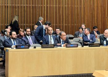 وزير الخارجية والهجرة وشئون المصريين بالخارج يلتقى مع وزير خارجية سيراليون