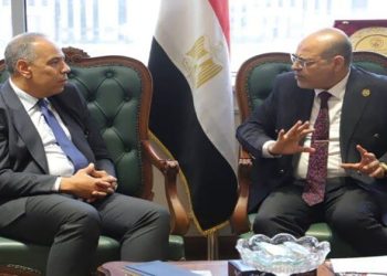 وزير العمل يلتقى سفير مصر الجديد في قبرص