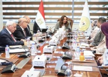 وزيرة التنمية تستعرض مع محافظ القاهرة تطوير شوارع الجوهري ويوسف نجيب والعسيلي بالعتبة