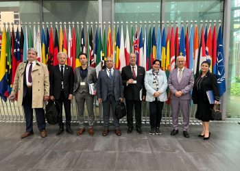 المنظمة العربية لحقوق الإنسان: دعم العدالة أمام المحكمة الجنائية الدولية بلاهاي