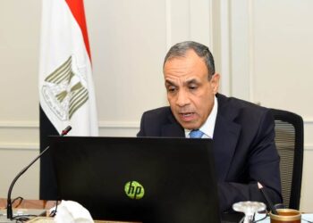 وزير الخارجية والهجرة وشئون المصريين بالخارج يعقد لقاء افتراضياً مع ممثلي الجالية المصرية في قطر