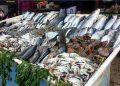 أسعار الأسماك في سوق العبور اليوم الجمعة