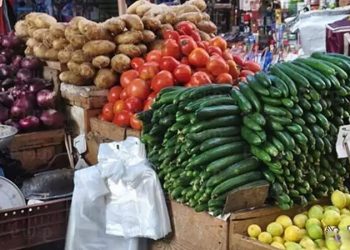 اسعار الخضار والفاكهة في مصر اليوم الإثنين