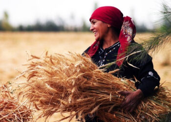 مجلس الشباب المصري: دعم المرأة الريفية ركيزة أساسية لتحقيق التنمية المستدامة