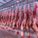 أسعار اللحوم الحمراء اليوم الثلاثاء