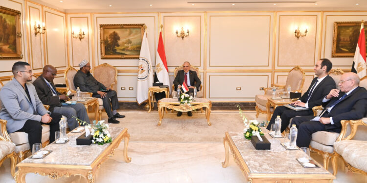 وزير الرى يلتقى نائب وزير للطاقة الصومالى