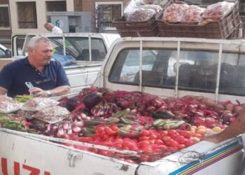 الزراعة تطلق ١٤ منفذ متحرك لبيع المنتجات والسلع الغذائية للمواطنين بمحافظة الإسكندرية بأسعار مخفضة