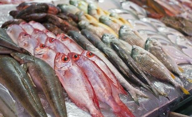 أسعار الأسماك والجمبري في سوق العبور اليوم الأربعاء
