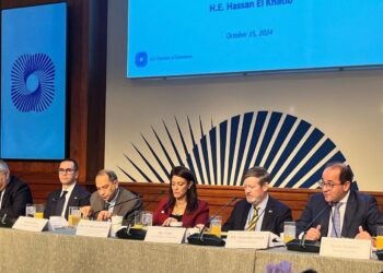 وزير المالية: نتطلع إلى تعاون أكبر مع غرفة التجارة الأمريكية لجذب المزيد من الاستثمارات