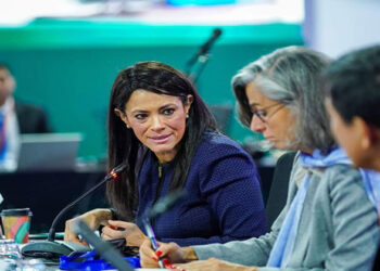 وزيرة التخطيط : ضرورة إنشاء بنية مالية فعالة والتكامل بين الاستثمارات العامة والتمويل الدولي لتعظيم الأثر التنموي