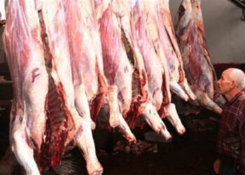 أسعار اللحوم الحمراء اليوم الأحد