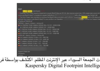كاسبرسكي: 25% زيادة في الهجمات السيبرانية على قطاع التجزئة قبل الجمعة السوداء