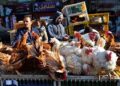 أسعار الدواجن والبيض في الأسواق اليوم الإثنين